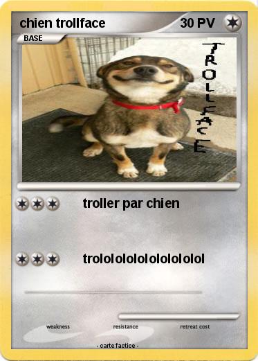 Pokemon chien trollface