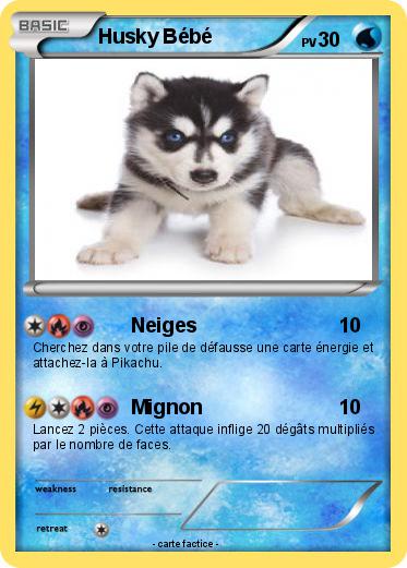 Pokemon Husky Bébé