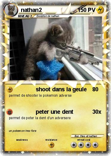Pokemon nathan2