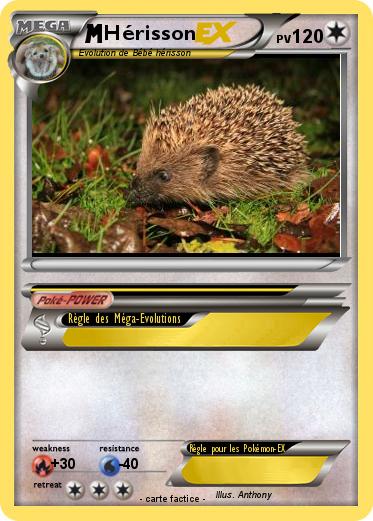 Pokemon Hérisson