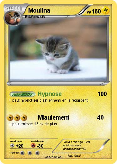 Pokemon Moulina