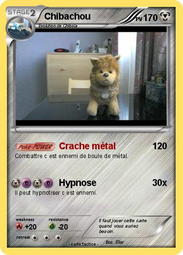Pokemon Chibachou