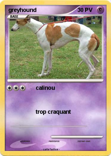 Pokemon greyhound