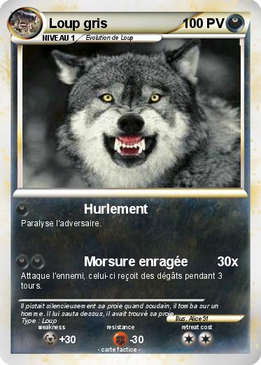 Pokemon Loup gris