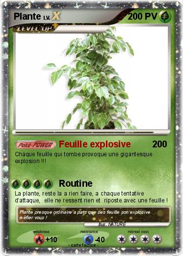 Pokemon Plante