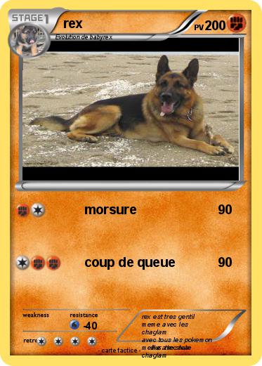 Pokemon rex