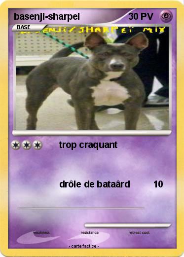 Pokemon basenji-sharpei