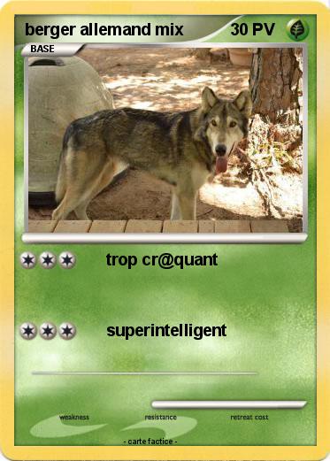 Pokemon berger allemand mix