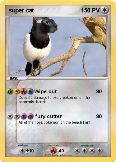Pokemon super cat
