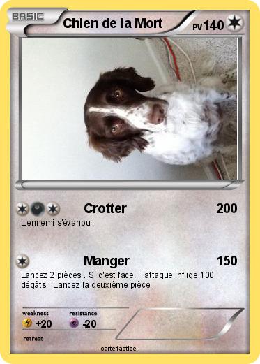 Pokemon Chien de la Mort