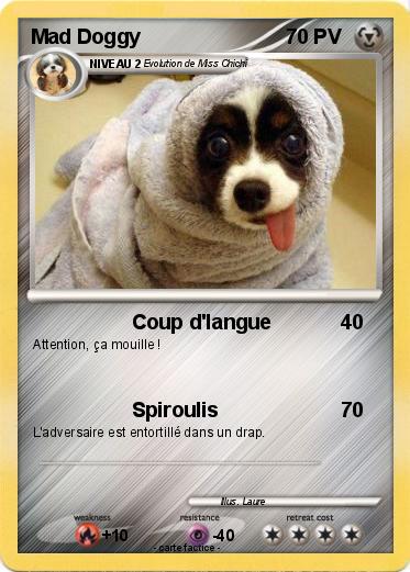 Pokemon Mad Doggy