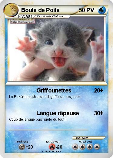 Pokemon Boule de Poils