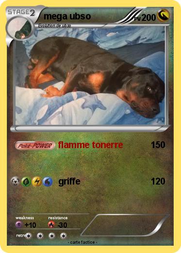 Pokemon mega ubso