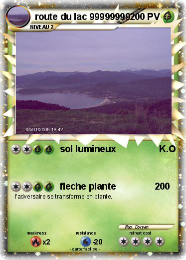 Pokemon route du lac 99999999