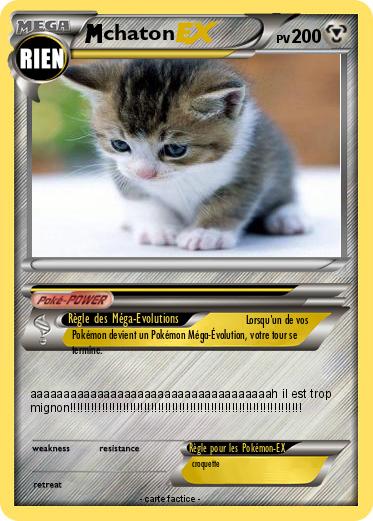 Pokemon chaton