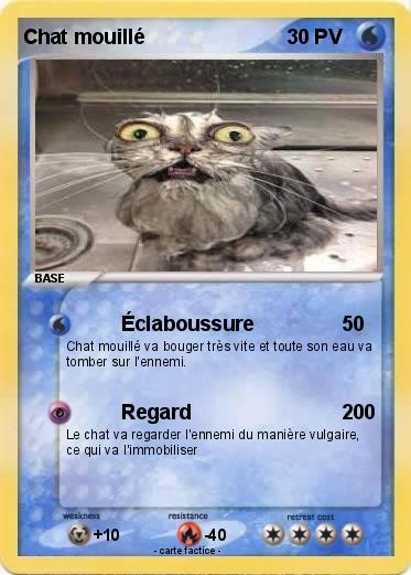 Pokemon Chat mouillé