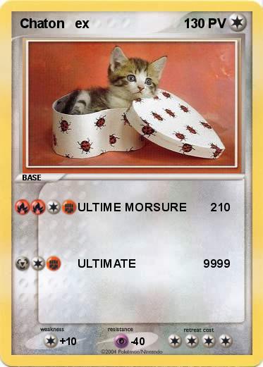 Pokemon Chaton   ex
