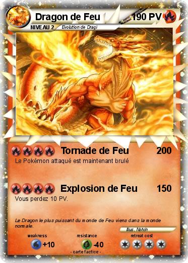 Pokemon Dragon de Feu