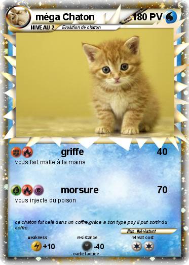 Pokemon méga Chaton