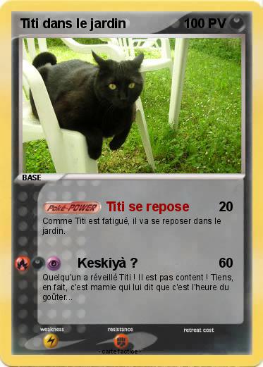 Pokemon Titi dans le jardin