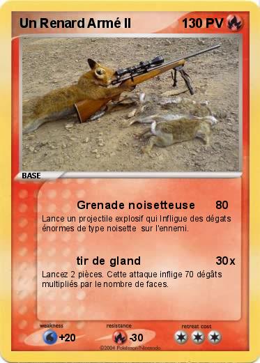 Pokemon Un Renard Armé II