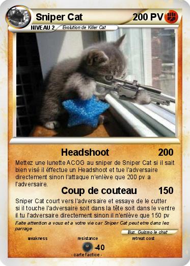 Pokemon Sniper Cat