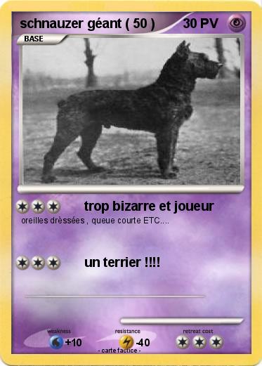 Pokemon schnauzer géant ( 50 ) Pokemon schnauzer géant ( 50 )