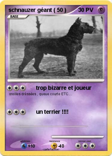 Pokemon schnauzer géant ( 50 )