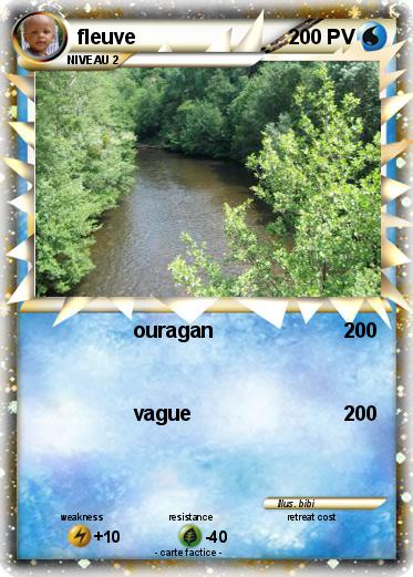Pokemon fleuve