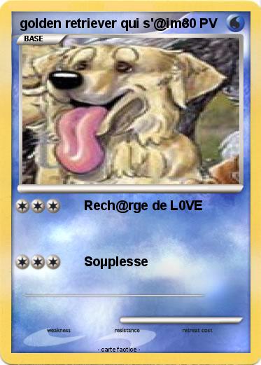 Pokemon golden retriever qui s'@ime