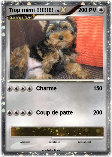 Pokemon Trop mimi !!!!!!!!!!
