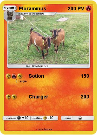 Pokemon Floraminus