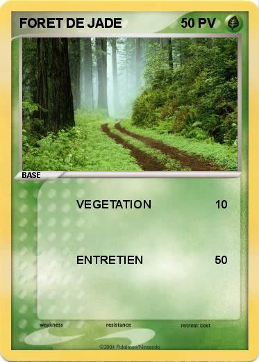 Pokemon FORET DE JADE