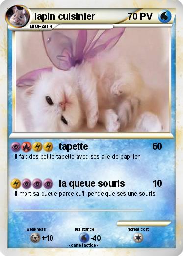Pokemon lapin cuisinier