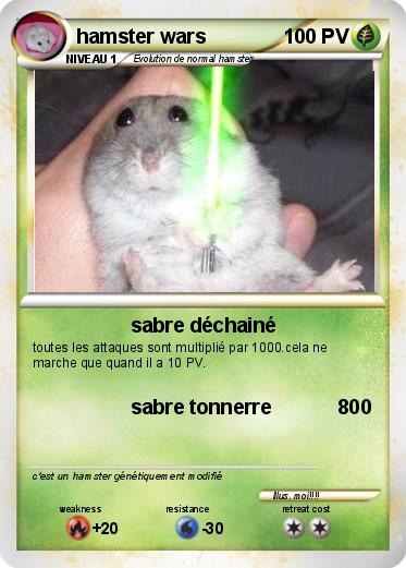 Pokemon hamster wars