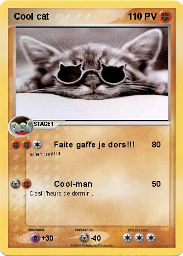 Pokemon Cool cat