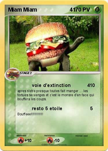 Pokemon Miam Miam                      41   