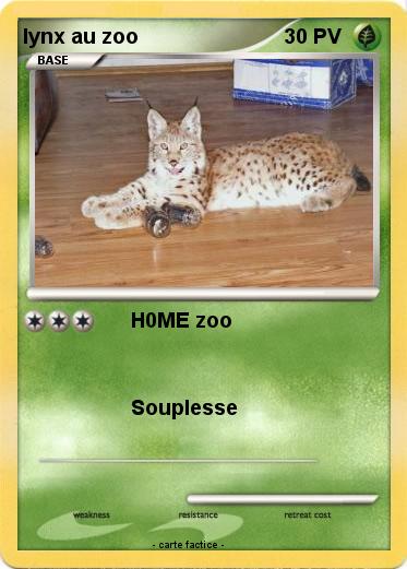 Pokemon lynx au zoo