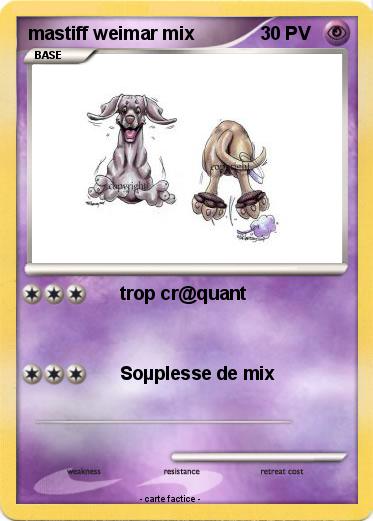 Pokemon mastiff weimar mix