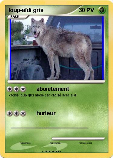 Pokemon loup-aïdi gris