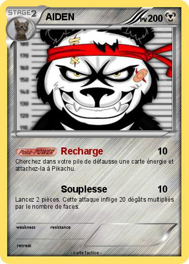Pokemon AIDEN