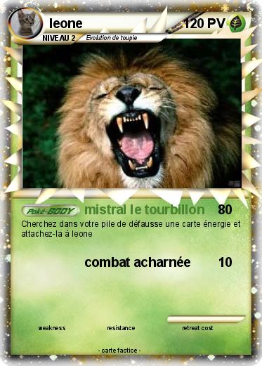 Pokemon leone