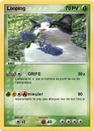 Pokemon Looping