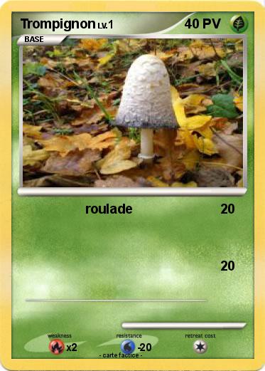 Pokemon Trompignon