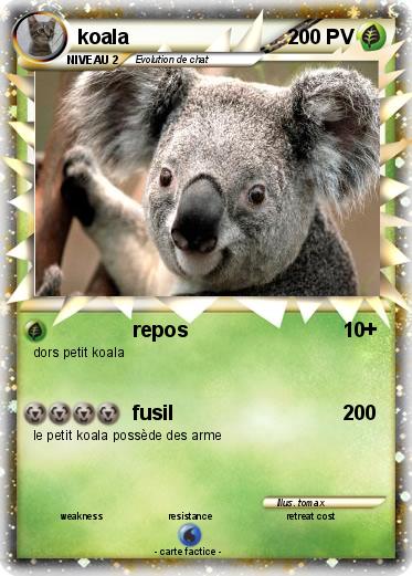 Pokemon koala