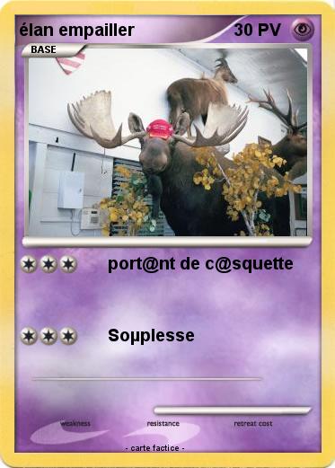 Pokemon élan empailler