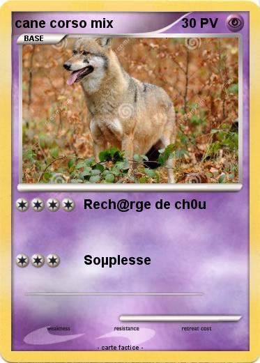 Pokemon cane corso mix