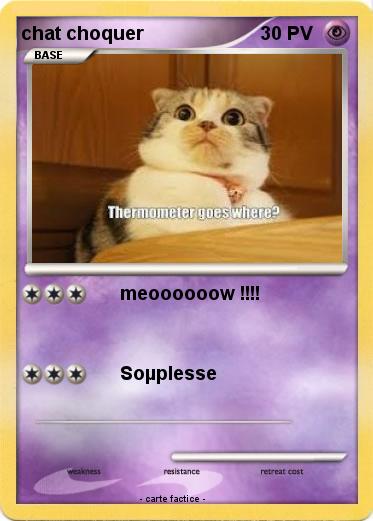 Pokemon chat choquer