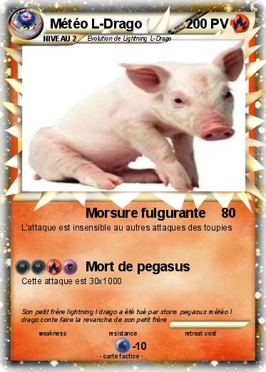 Pokemon Météo L-Drago