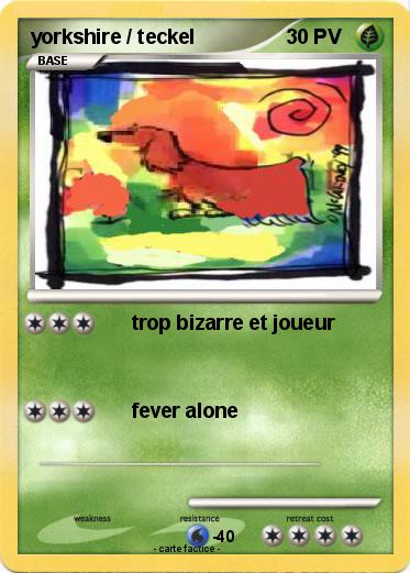 Pokemon yorkshire / teckel